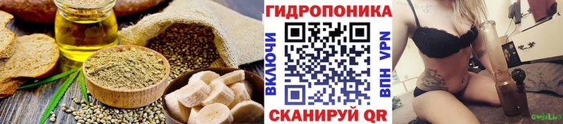 OMG ТОР  где купить   Котлас  Еда ТГК конопля 