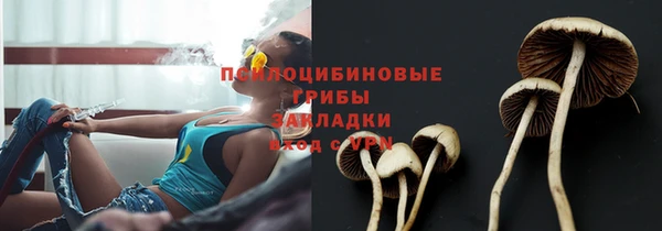 стаф Алексин