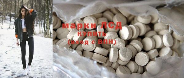 стаф Алексин