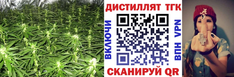 ТГК THC oil  Котлас 