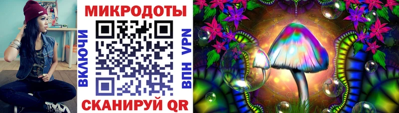 Псилоцибиновые грибы Cubensis Котлас