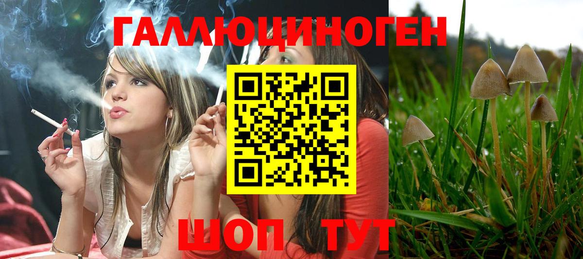 Котлас  Галлюциногенные грибы ЛСД  Вход с VPN 